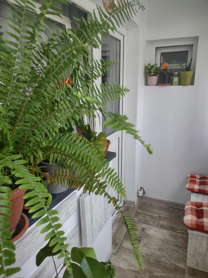 Apartament Piteşti Dış mekan fotoğraf
